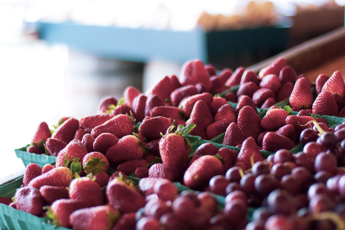 kirkwood strawberries